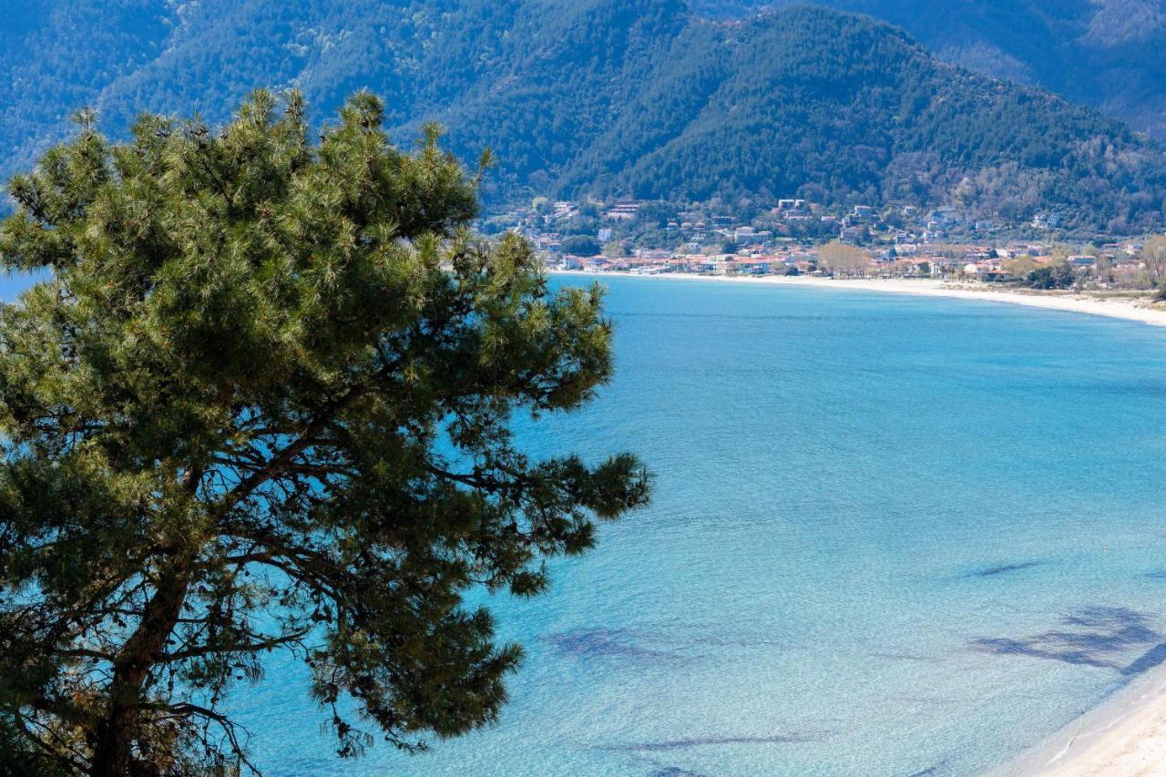 Appartamento Archetypo Luxury Living Chrisi Ammoudia Esterno foto